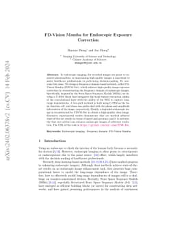 FD-Vision Mamba for Endoscopic Exposure Correction