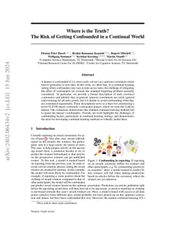 Where is the Truth? The Risk of Getting Confounded in a Continual World