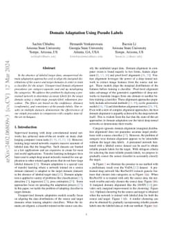 Domain Adaptation Using Pseudo Labels