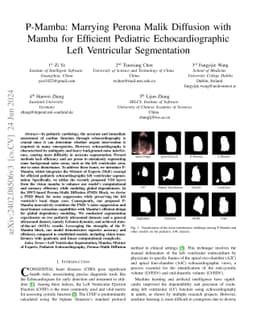 P-Mamba: Marrying Perona Malik Diffusion with Mamba for Efficient
  Pediatric Echocardiographic Left Ventricular Segmentation