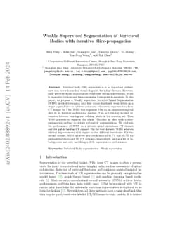 Weakly Supervised Segmentation of Vertebral Bodies with Iterative
  Slice-propagation
