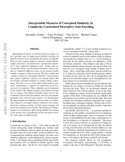 Interpretable Measures of Conceptual Similarity by
  Complexity-Constrained Descriptive Auto-Encoding