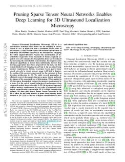 Pruning Sparse Tensor Neural Networks Enables Deep Learning for 3D
  Ultrasound Localization Microscopy