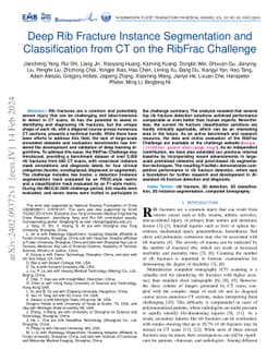 Deep Rib Fracture Instance Segmentation and Classification from CT on
  the RibFrac Challenge