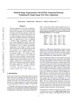 Medical Image Segmentation with InTEnt: Integrated Entropy Weighting for
  Single Image Test-Time Adaptation