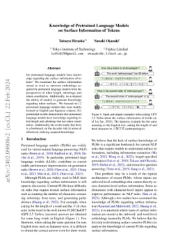 Knowledge of Pretrained Language Models on Surface Information of Tokens