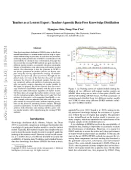 Teacher as a Lenient Expert: Teacher-Agnostic Data-Free Knowledge
  Distillation