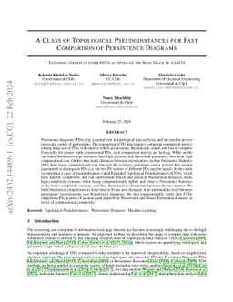 A Class of Topological Pseudodistances for Fast Comparison of
  Persistence Diagrams