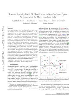 Towards Spatially-Lucid AI Classification in Non-Euclidean Space: An Application for MxIF Oncology Data