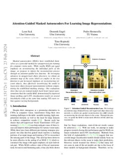 Attention-Guided Masked Autoencoders For Learning Image Representations