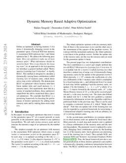 Dynamic Memory Based Adaptive Optimization