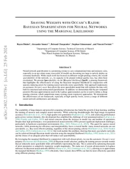 Shaving Weights with Occam's Razor: Bayesian Sparsification for Neural
  Networks Using the Marginal Likelihood
