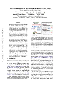 Mysterious Projections: Multimodal LLMs Gain Domain-Specific Visual
  Capabilities Without Richer Cross-Modal Projections