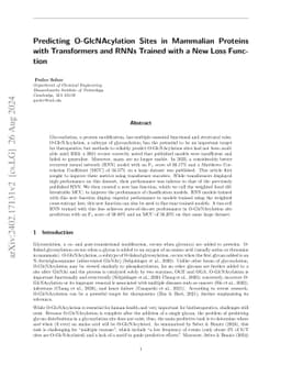 Predicting O-GlcNAcylation Sites in Mammalian Proteins with Transformers
  and RNNs Trained with a New Loss Function