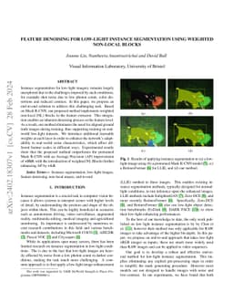 Multi-Scale Denoising in the Feature Space for Low-Light Instance Segmentation
