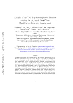 Analysis of the Two-Step Heterogeneous Transfer Learning for Laryngeal
  Blood Vessel Classification: Issue and Improvement