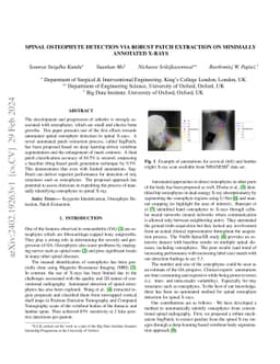 Spinal Osteophyte Detection via Robust Patch Extraction on minimally
  annotated X-rays
