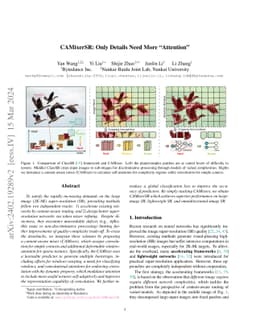 CAMixerSR: Only Details Need More "Attention"