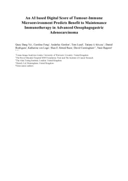 An AI based Digital Score of Tumour-Immune Microenvironment Predicts
  Benefit to Maintenance Immunotherapy in Advanced Oesophagogastric
  Adenocarcinoma