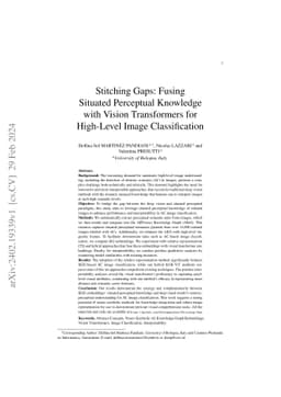Stitching Gaps: Fusing Situated Perceptual Knowledge with Vision
  Transformers for High-Level Image Classification