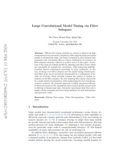 Large Convolutional Model Tuning via Filter Subspace