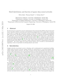 Motif distribution and function of sparse deep neural networks