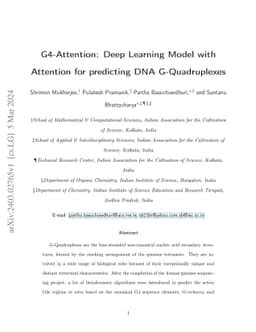 G4-Attention: Deep Learning Model with Attention for predicting DNA
  G-Quadruplexes