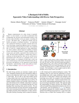 A Backpack Full of Skills: Egocentric Video Understanding with Diverse
  Task Perspectives