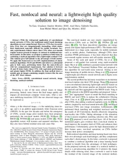 Fast, nonlocal and neural: a lightweight high quality solution to image
  denoising