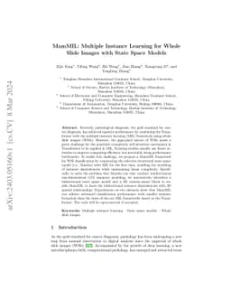 MamMIL: Multiple Instance Learning for Whole Slide Images with State
  Space Models