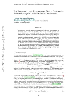 On Representing Electronic Wave Functions with Sign Equivariant Neural
  Networks