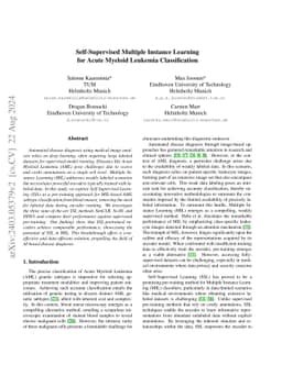 Self-Supervised Multiple Instance Learning for Acute Myeloid Leukemia
  Classification