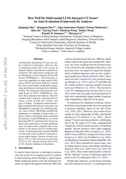 How Well Do Multi-modal LLMs Interpret CT Scans? An Auto-Evaluation
  Framework for Analyses