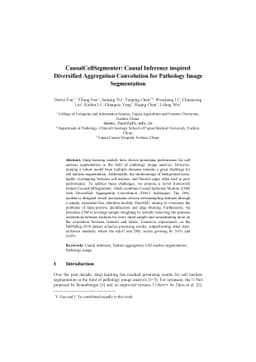 CausalCellSegmenter: Causal Inference inspired Diversified Aggregation
  Convolution for Pathology Image Segmentation