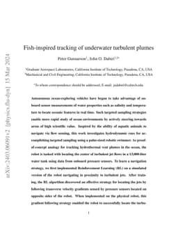 Fish-inspired tracking of underwater turbulent plumes