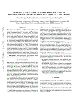 MOAB: Multi-Modal Outer Arithmetic Block For Fusion Of Histopathological
  Images And Genetic Data For Brain Tumor Grading