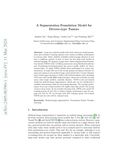 A Segmentation Foundation Model for Diverse-type Tumors