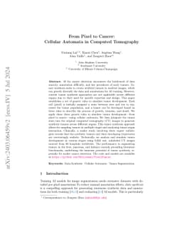 From Pixel to Cancer: Cellular Automata in Computed Tomography
