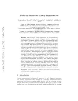 Skeleton Supervised Airway Segmentation