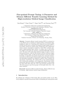Fine-grained Prompt Tuning: A Parameter and Memory Efficient Transfer
  Learning Method for High-resolution Medical Image Classification