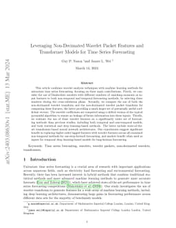 Leveraging Non-Decimated Wavelet Packet Features and Transformer Models
  for Time Series Forecasting