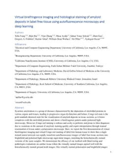 Virtual birefringence imaging and histological staining of amyloid
  deposits in label-free tissue using autofluorescence microscopy and deep
  learning