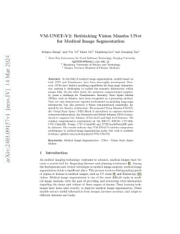 VM-UNET-V2 Rethinking Vision Mamba UNet for Medical Image Segmentation