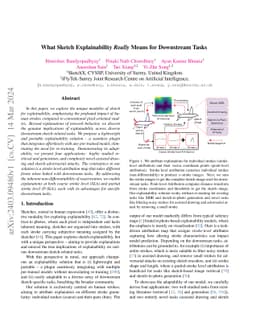 What Sketch Explainability Really Means for Downstream Tasks