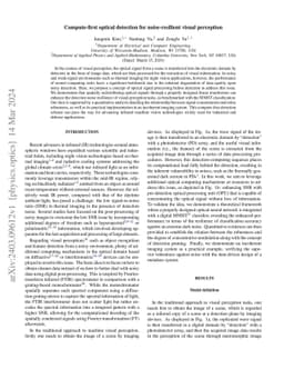 Compute-first optical detection for noise-resilient visual perception