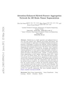 Attention-Enhanced Hybrid Feature Aggregation Network for 3D Brain Tumor
  Segmentation