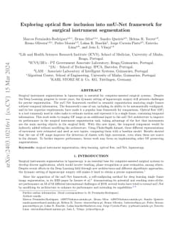 Exploring Optical Flow Inclusion into nnU-Net Framework for Surgical
  Instrument Segmentation