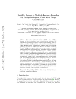 RetMIL: Retentive Multiple Instance Learning for Histopathological Whole
  Slide Image Classification