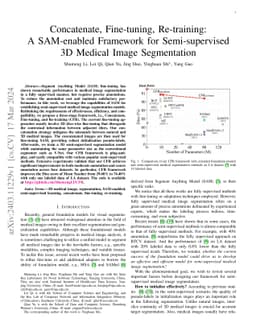 Stitching, Fine-tuning, Re-training: A SAM-enabled Framework for Semi-supervised 3D Medical Image Segmentation