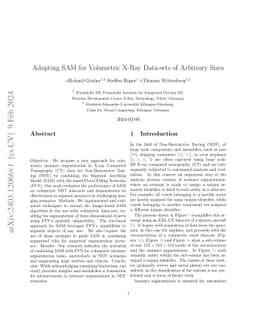Adapting SAM for Volumetric X-Ray Data-sets of Arbitrary Sizes